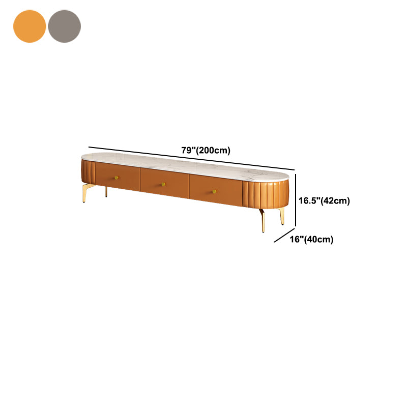 Scandinavian TV Media Stand Enclosed Storage TV Stand Console