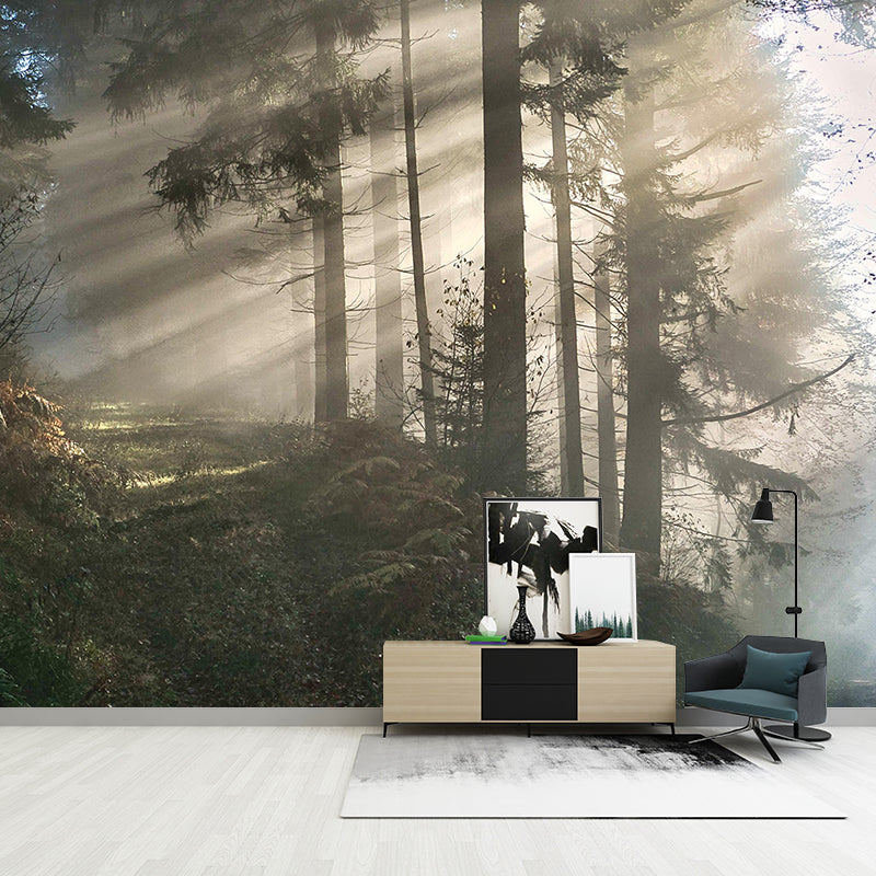 Photography Forest Mural Home Decorative Photography Resistant Wall Mural