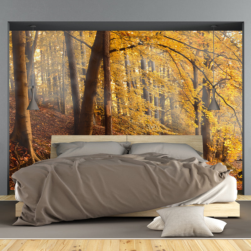 Environmental Photography Wallpaper Moisture Resistant Forest Wall Mural