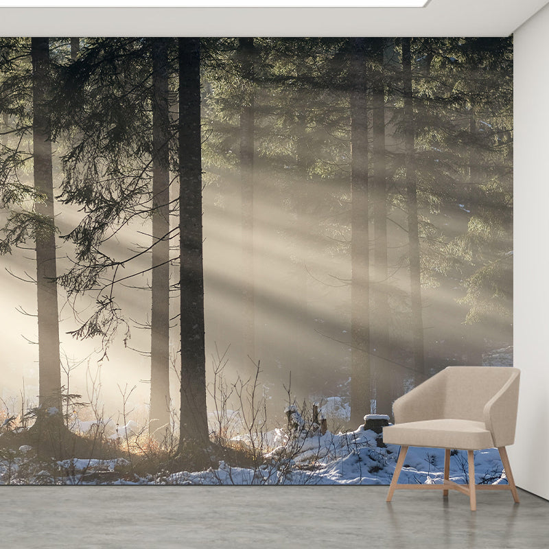 Environmental Photography Wallpaper Moisture Resistant Forest Wall Mural