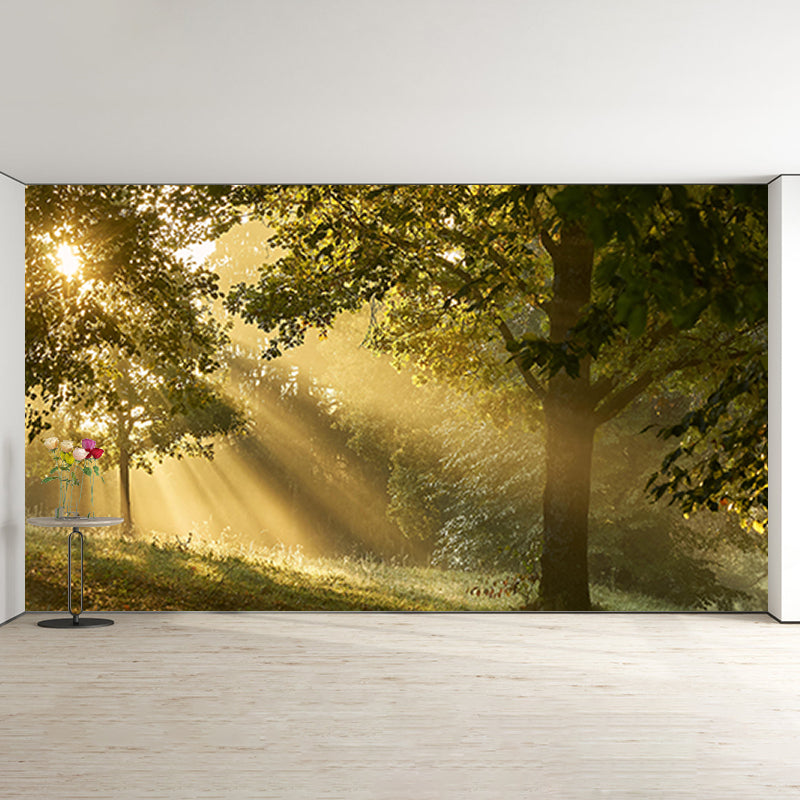 Photography Plants Wall Mural Modern Stain Resistant Forest Living Room Mural