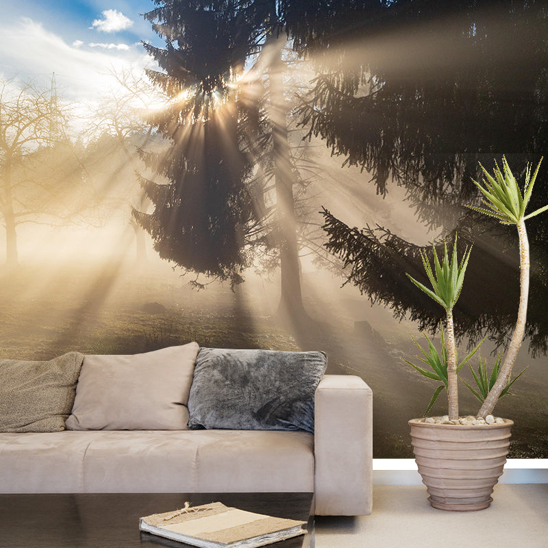 Environmental Wall Mural Photography Stain Resistant Living Room Forest Mural