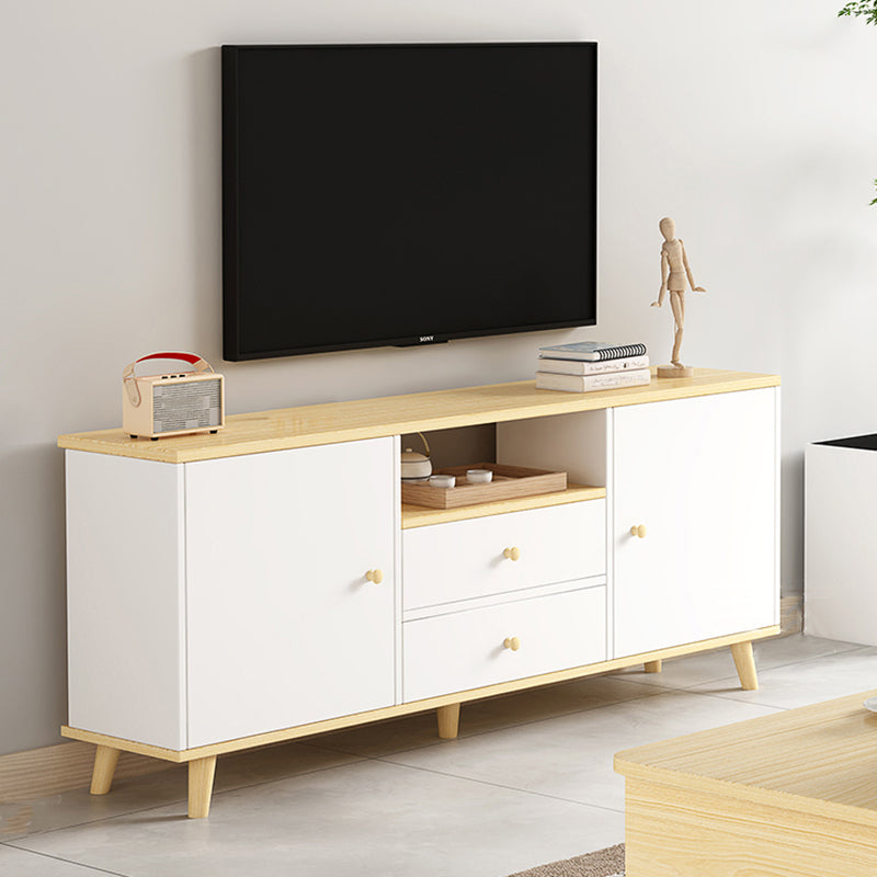 Scandinavian Style Wood TV Stand 2-Door TV Console with Storage