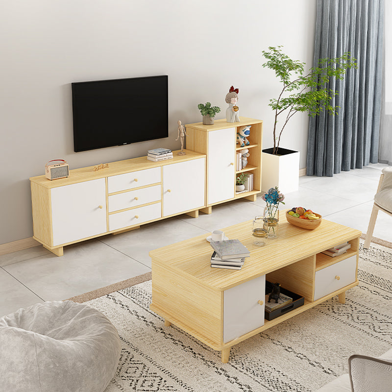 Scandinavian Style Wood TV Stand 2-Door TV Console with Storage