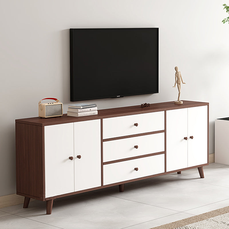 Scandinavian Style Wood TV Stand 2-Door TV Console with Storage