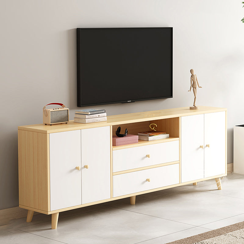 Scandinavian Style Wood TV Stand 2-Door TV Console with Storage