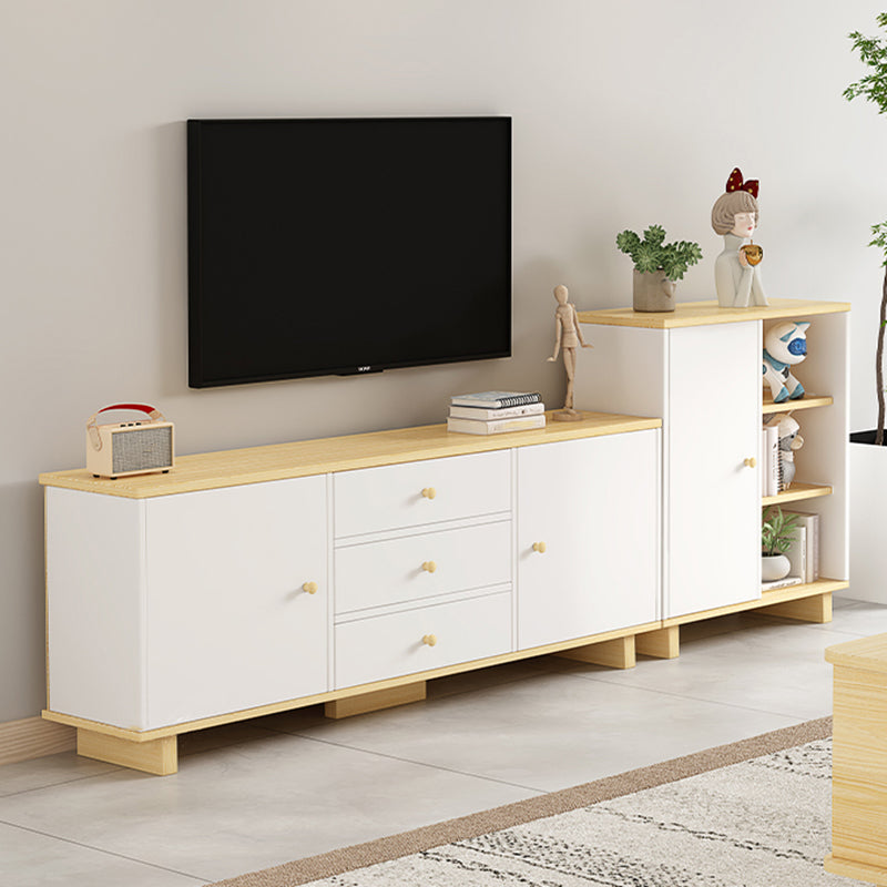 Scandinavian Style Wood TV Stand 2-Door TV Console with Storage