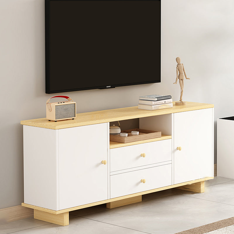 Scandinavian Style Wood TV Stand 2-Door TV Console with Storage