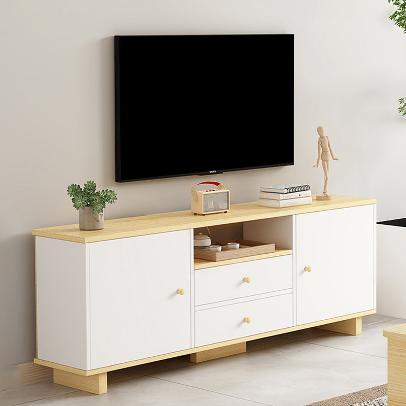 Scandinavian Style Wood TV Stand 2-Door TV Console with Storage