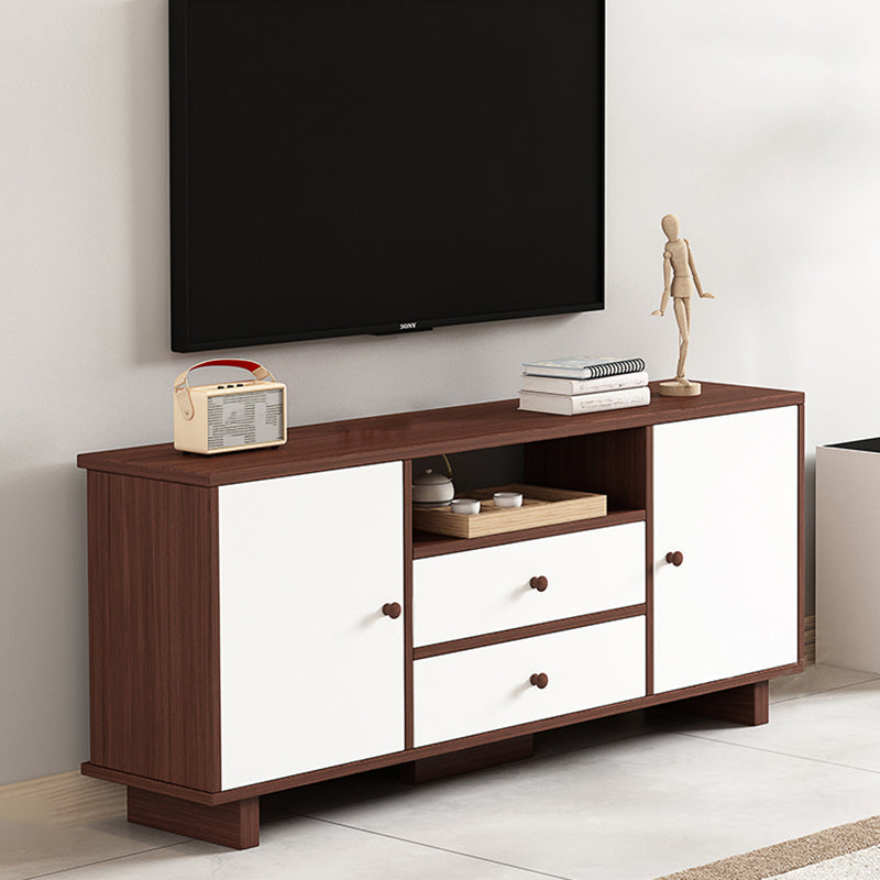 Scandinavian Style Wood TV Stand 2-Door TV Console with Storage