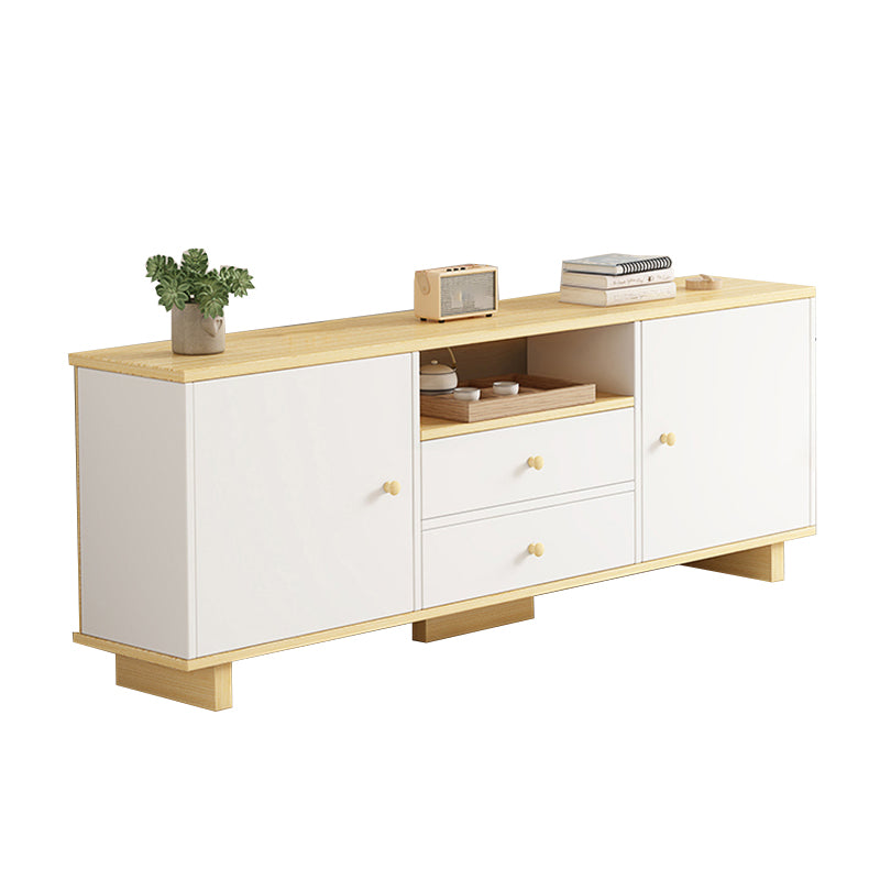 Scandinavian Style Wood TV Stand 2-Door TV Console with Storage