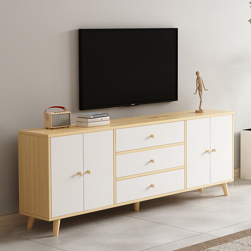 Scandinavian Style Wood TV Stand 2-Door TV Console with Storage