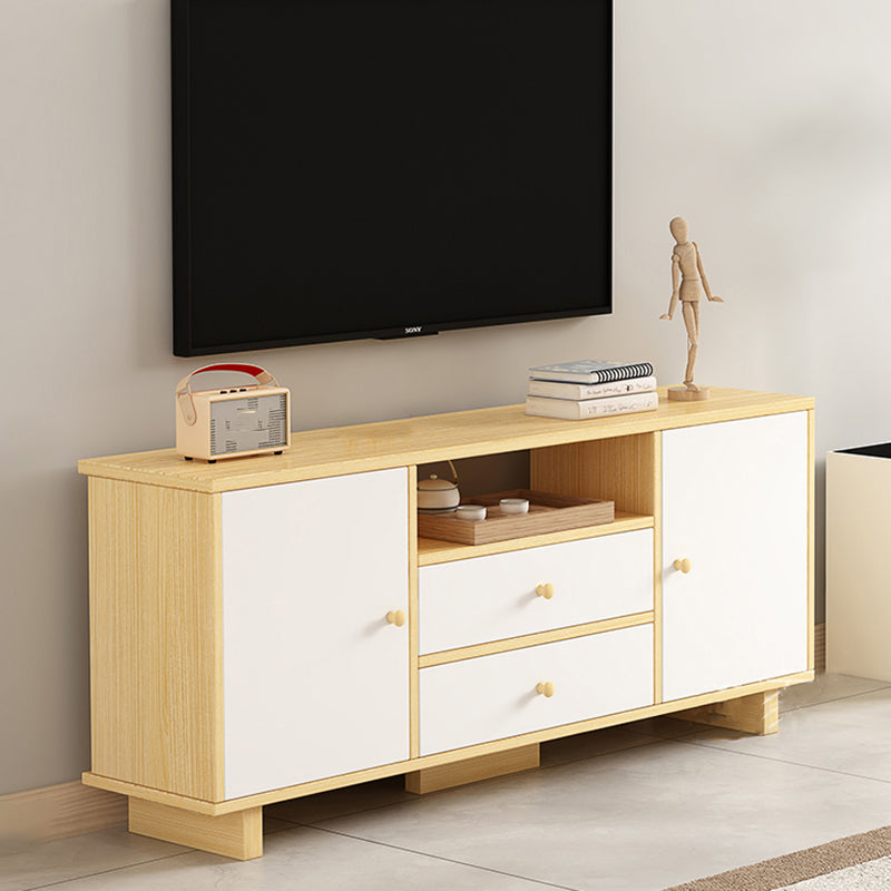 Scandinavian Style Wood TV Stand 2-Door TV Console with Storage