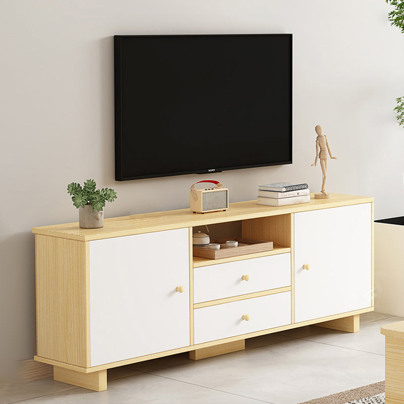 Scandinavian Style Wood TV Stand 2-Door TV Console with Storage