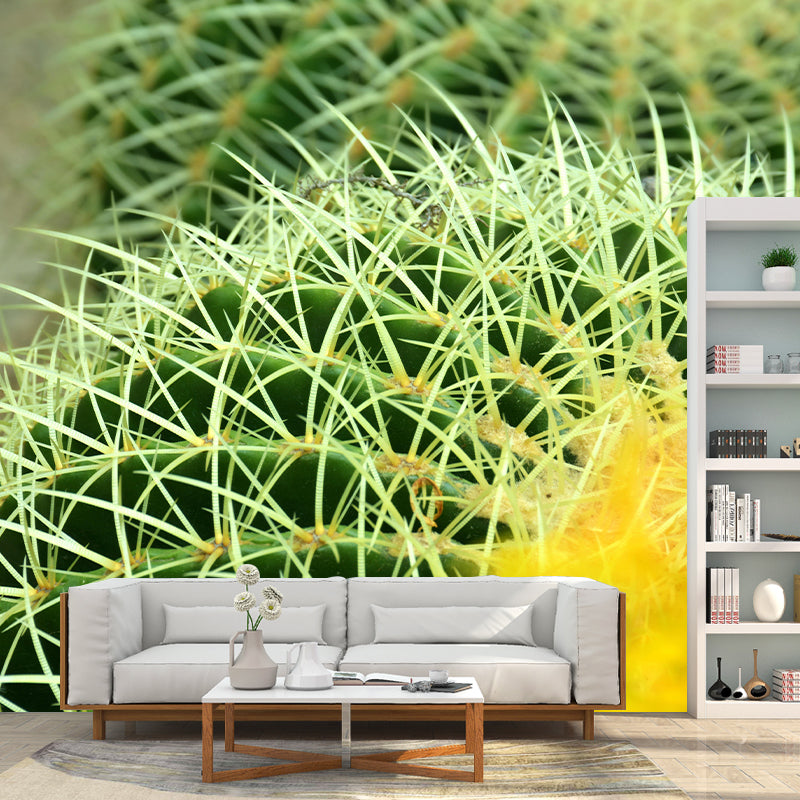 Decorative Wall Mural Cactus Printed Sitting Room Wall Mural