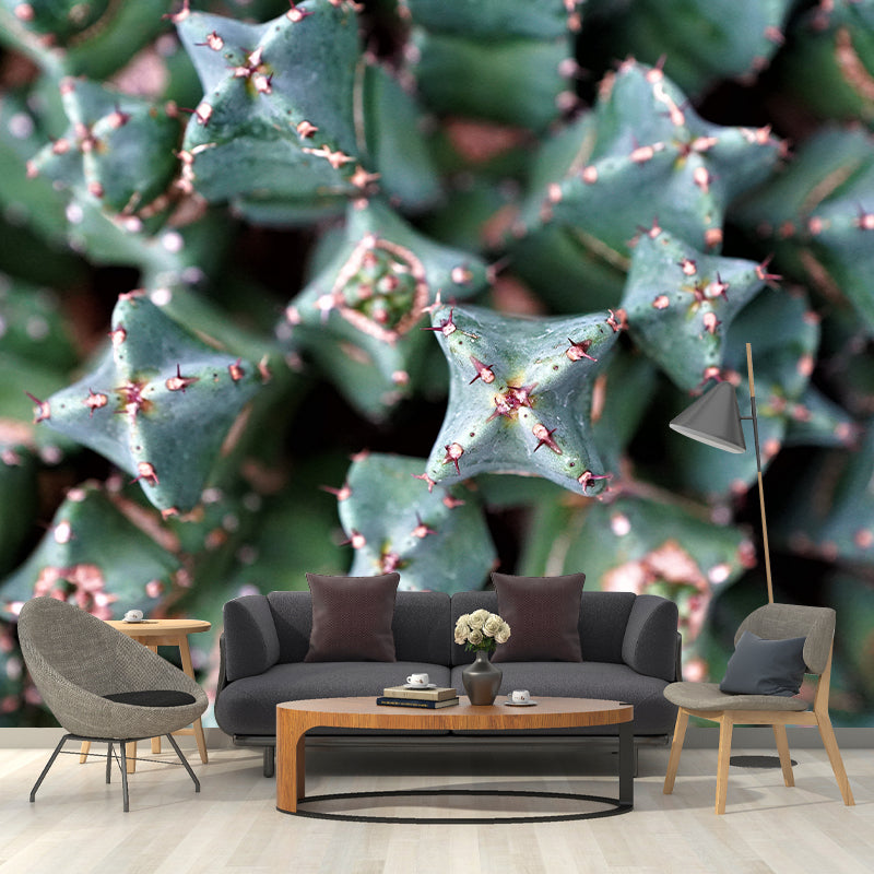 Decorative Wall Mural Cactus Printed Sitting Room Wall Mural