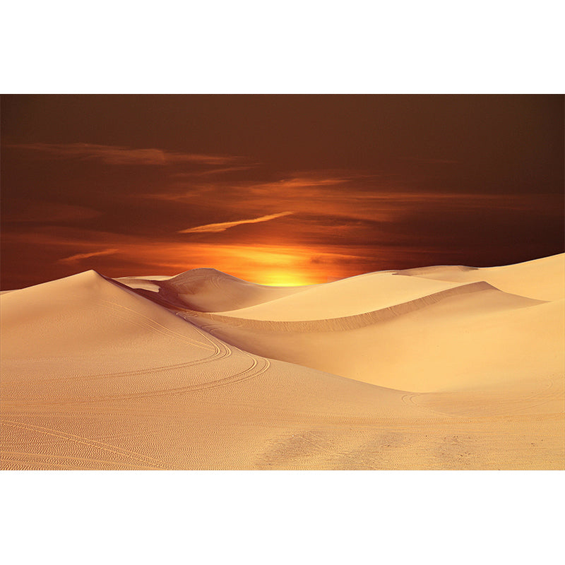 Photography Desert Wall Mural Living Room Decorative Mildew Resistant Wall Mural