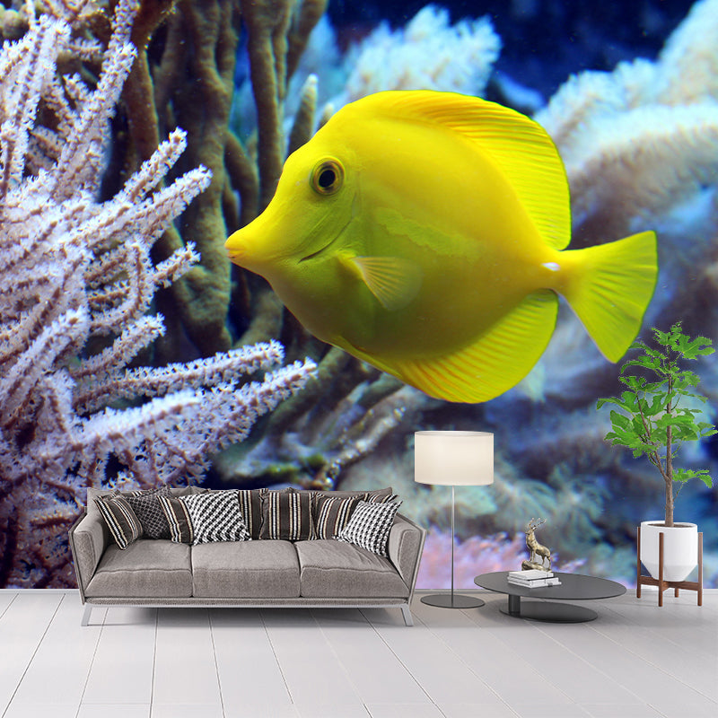 Photography Wall Mural Fish Patterned Sitting Room Wall Mural