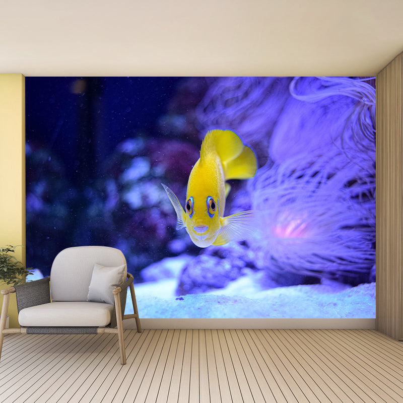 Photography Wall Mural Fish Patterned Sitting Room Wall Mural