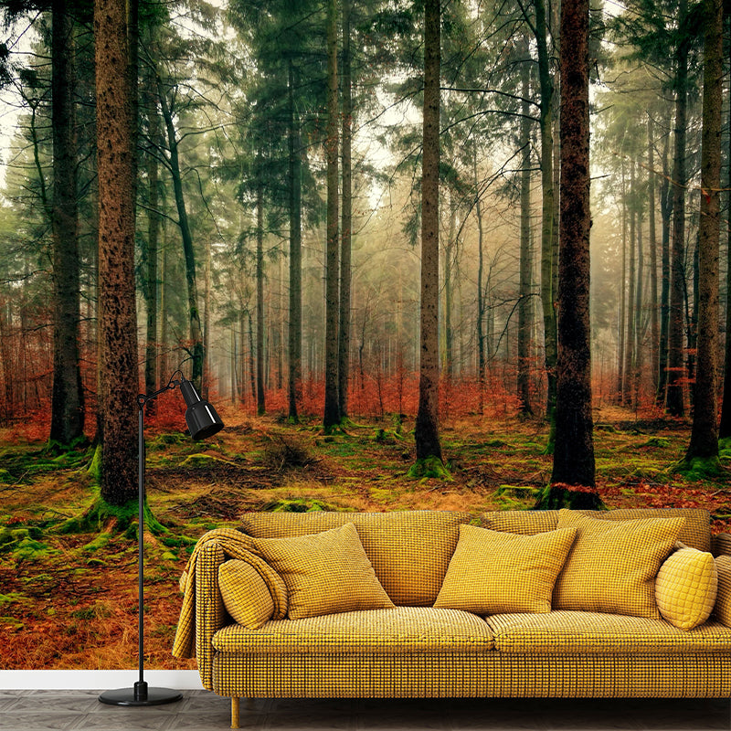 Photography Trees Wall Mural Moisture Resistant Environmental Forest Wallpaper