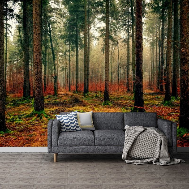 Photography Trees Wall Mural Moisture Resistant Environmental Forest Wallpaper