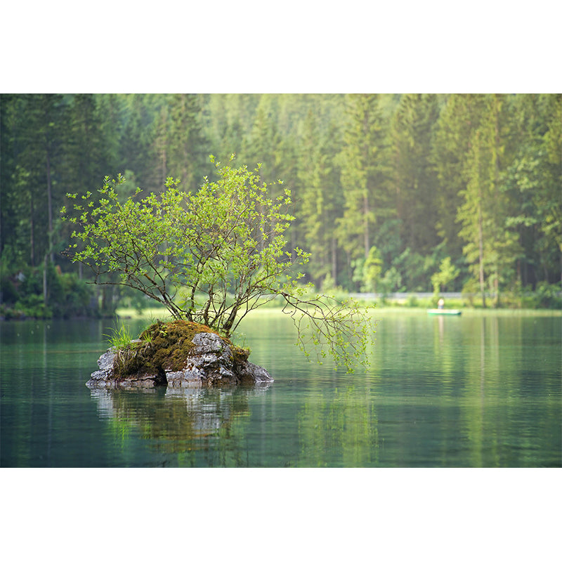 Photography Wall Mural Forest Stain Resistant Environmental Home Wall Mural