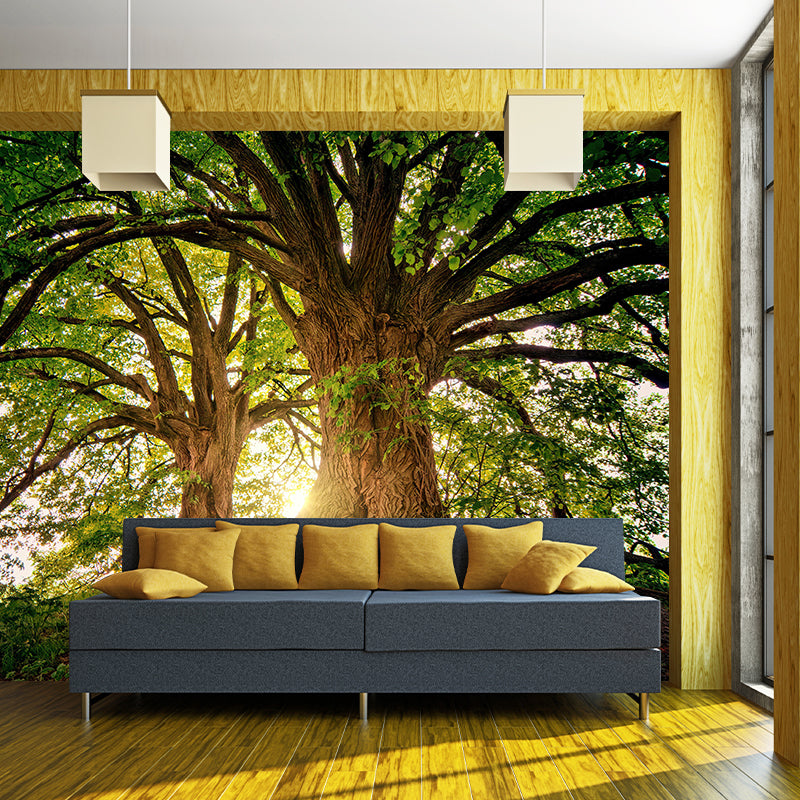 Plants Wall Mural Contemporary Photography Resistant Forest Wall Mural