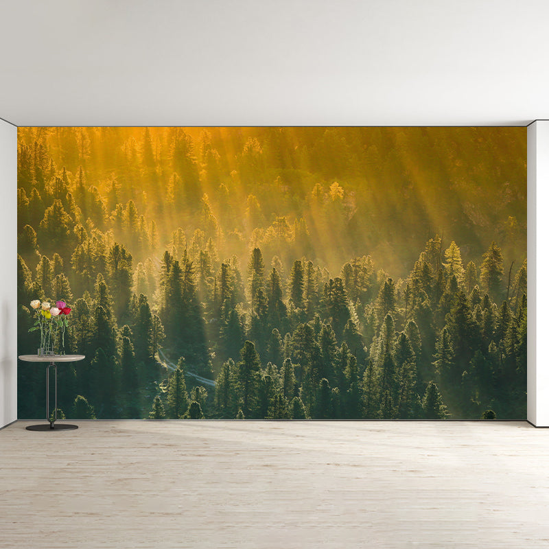 Plants Wall Mural Contemporary Photography Resistant Forest Wall Mural