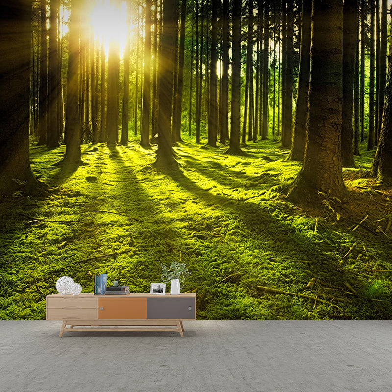 Photography Forest Wall Mural Environmental Stain Resistant Plants Mural