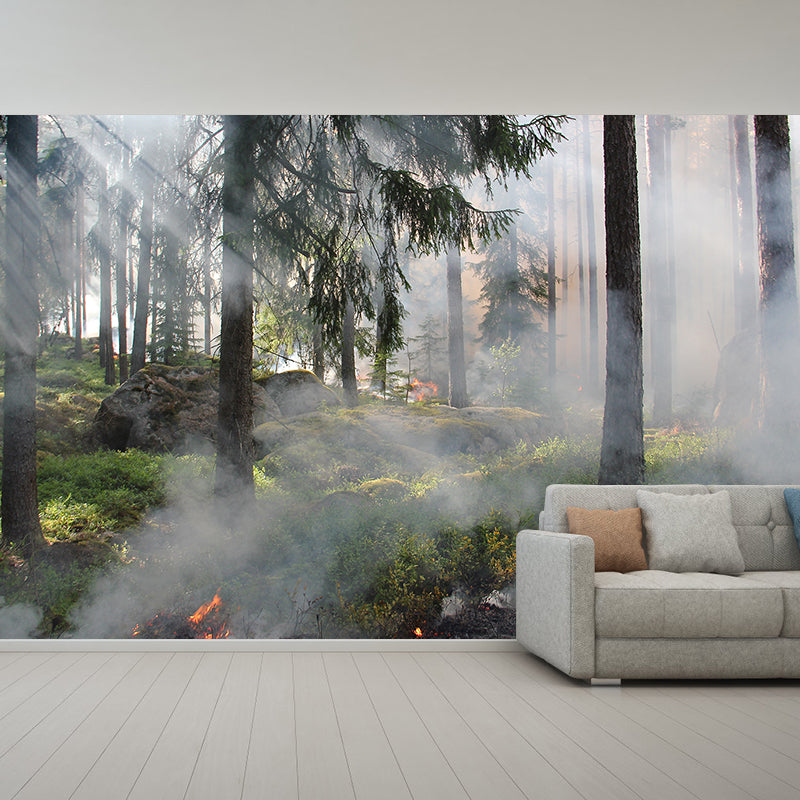 Forest Environmental Wall Mural Stain Resistant Environmental Wall Mural