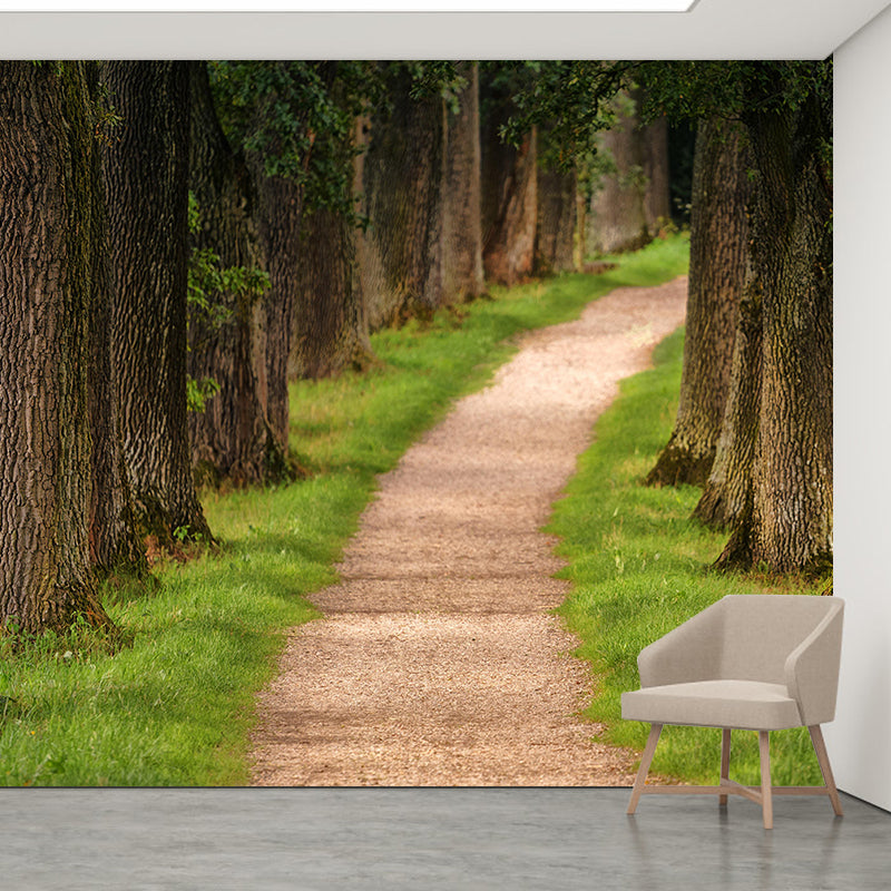 Forest Environmental Wall Mural Stain Resistant Environmental Wall Mural