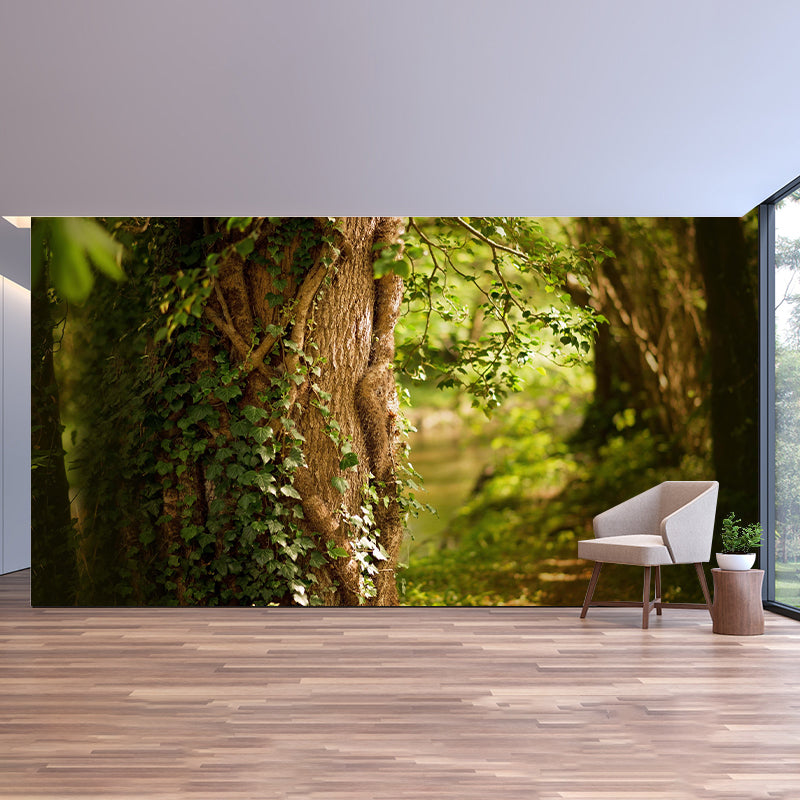 Decorative Mural Mildew Resistant Forest Photography Indoor Wall Mural