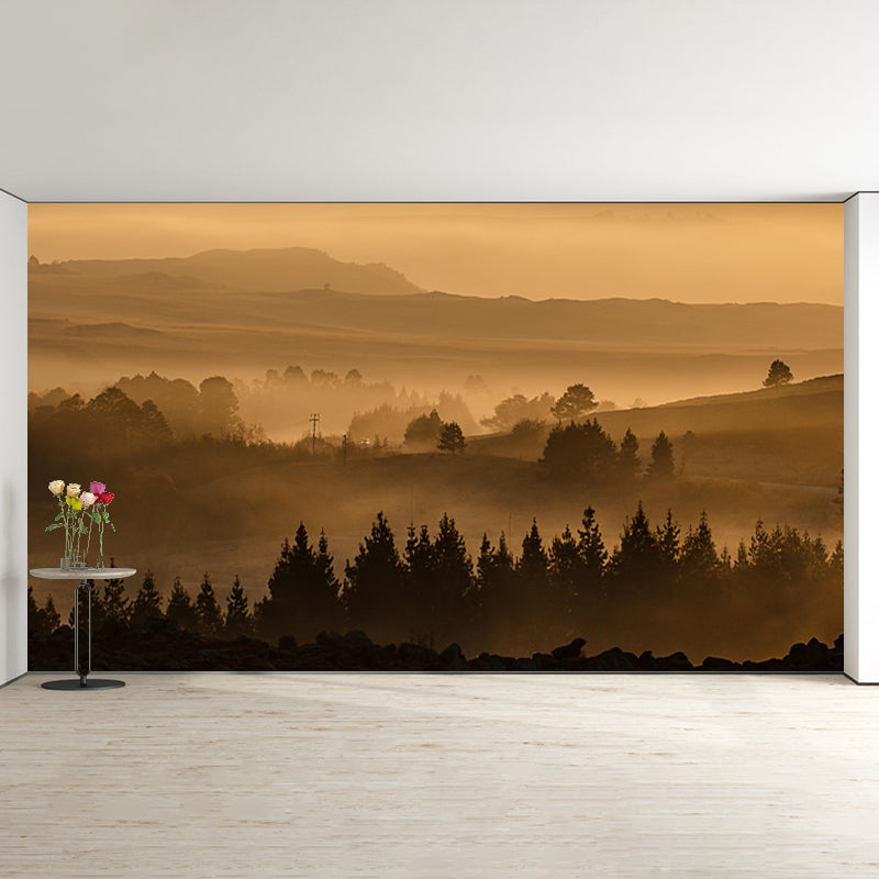 Decorative Mural Mildew Resistant Forest Photography Indoor Wall Mural