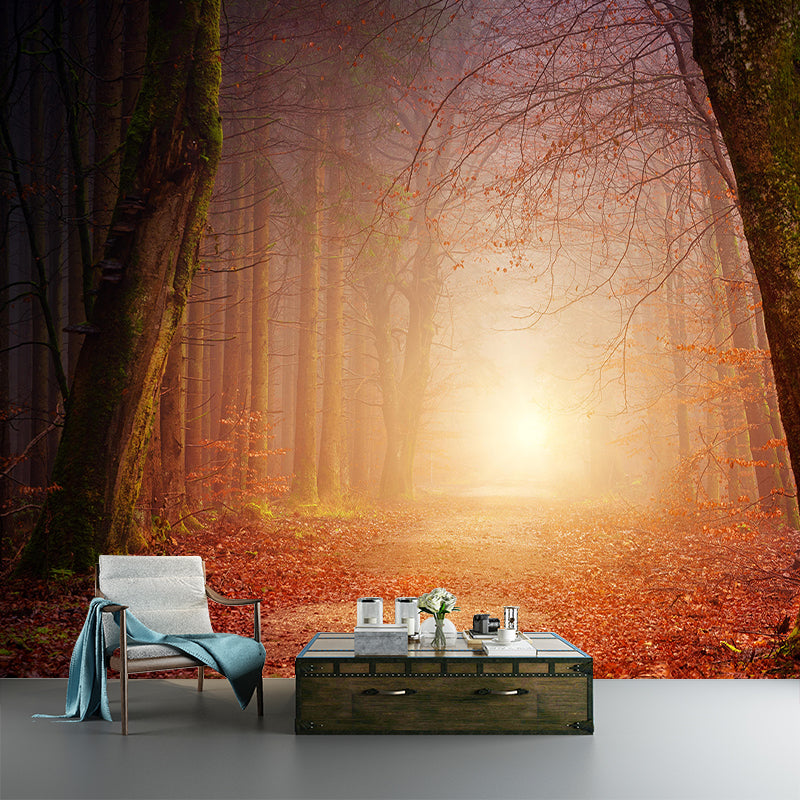 Home Environmental Wallpaper Forest Living Room Resistant Photography Wall Mural