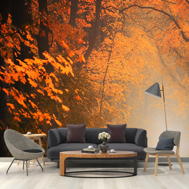 Stain Resistant Wall Mural Environmental Landscapes Photography Wall Mural