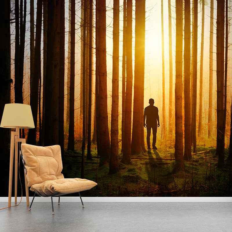 Stain Resistant Wall Mural Environmental Landscapes Photography Wall Mural