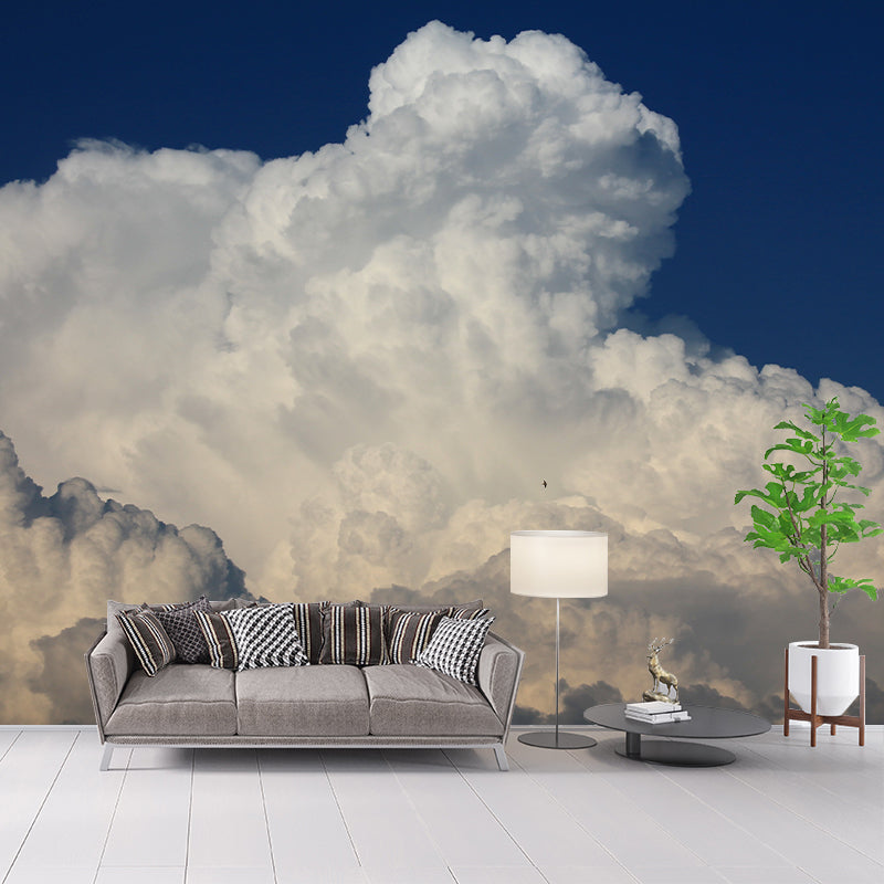 Sky Pattern Contemporary Wallpaper Stain Resistant Photography Wall Mural