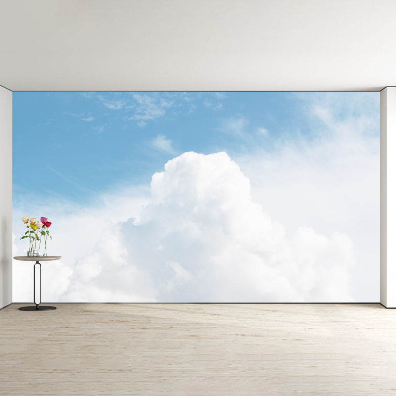 Modern Stain Resistant Wall Mural Sky Photography Living Room Wall Mural