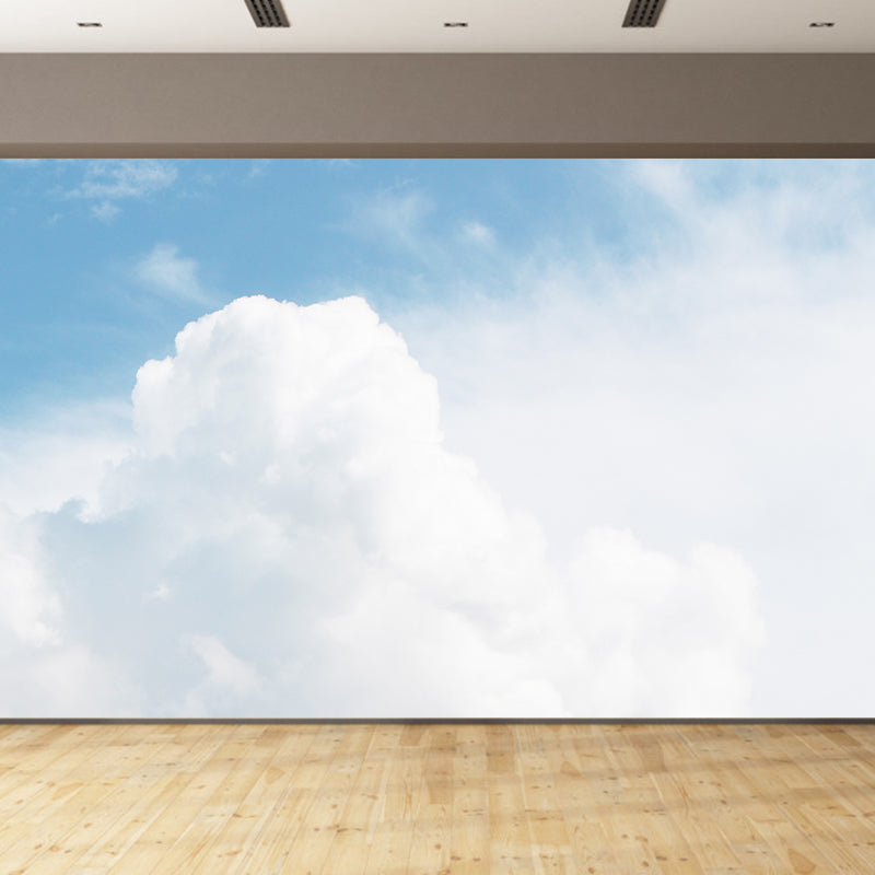 Modern Stain Resistant Wall Mural Sky Photography Living Room Wall Mural