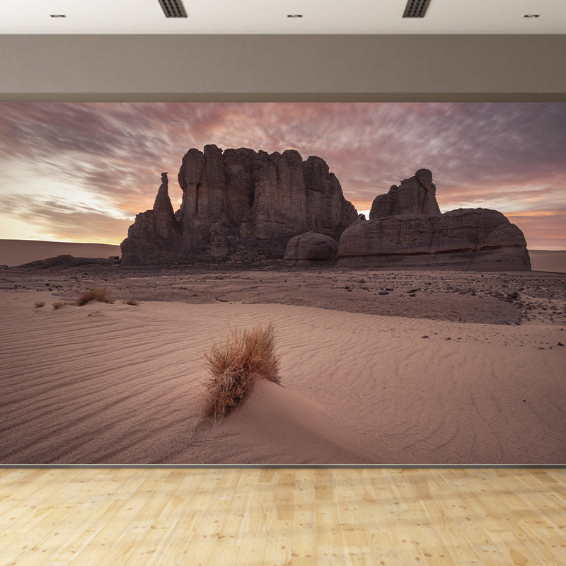 Desert Photography Mural Stain Resistant Landscapes Environmental Wall Mural