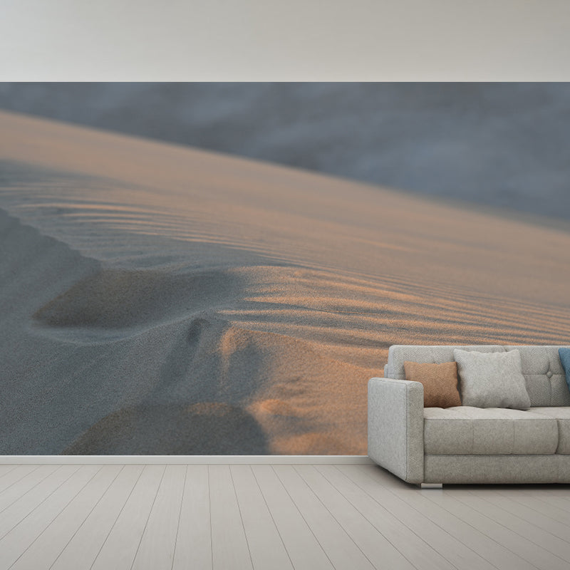 Desert Photography Mural Stain Resistant Landscapes Environmental Wall Mural