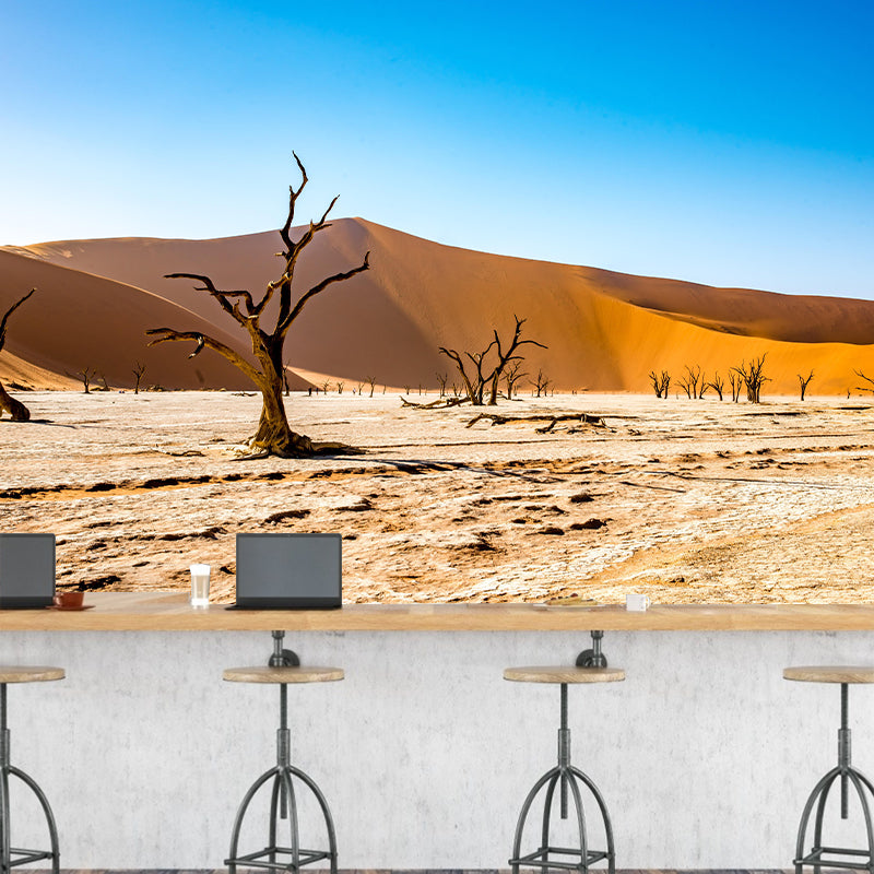 Decorative Landscapes Wall Mural Photography Mildew Resistant Desert Wall Murals for Home