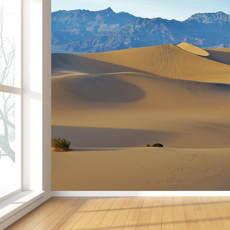 Landscapes Environmental Wall Mural Stain Resistant Desert Photography Wall Mural