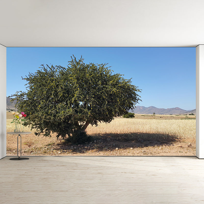 Landscapes Environmental Wall Mural Stain Resistant Desert Photography Wall Mural