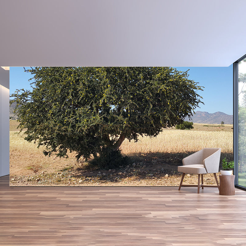 Landscapes Environmental Wall Mural Stain Resistant Desert Photography Wall Mural