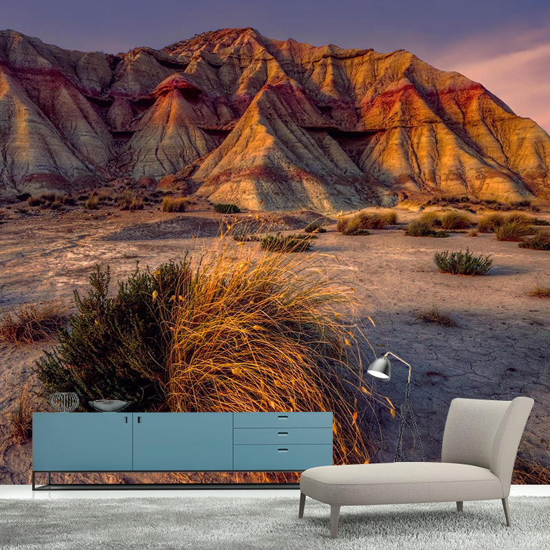 Landscapes Environmental Wall Mural Stain Resistant Desert Photography Wall Mural