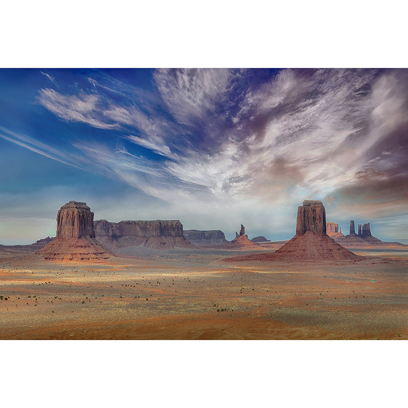 Photography Wall Mural Resistant Contemporary Desert Wall Murals for Home