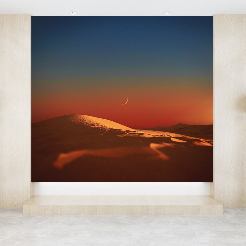 Photography Wall Mural Resistant Contemporary Desert Wall Murals for Home