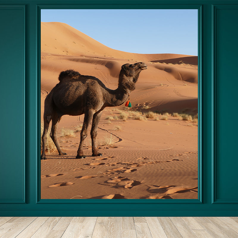 Photography Wall Mural Resistant Contemporary Desert Wall Murals for Home