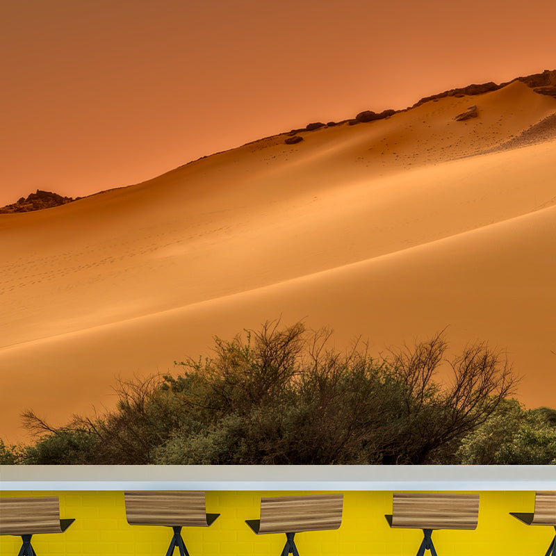 Environmental Desert Photography Wall Mural Stain Resistant Landscapes Wall Mural